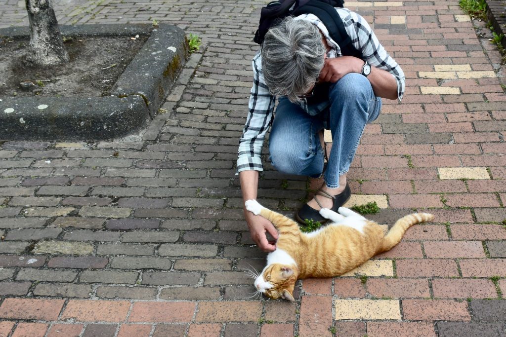 De Nederlandse "Micky"