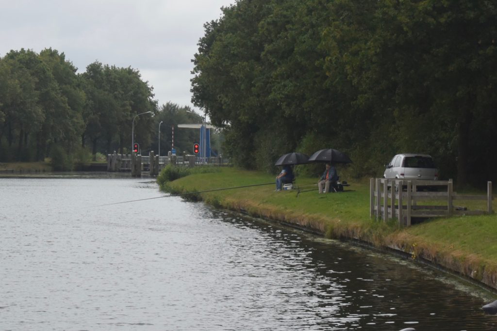 Mittagspause im Nieselregen