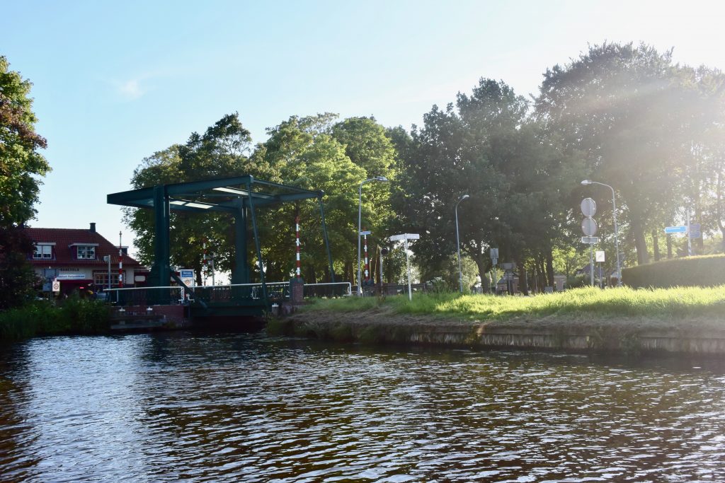 Am guten Ende eines Tages: Abendsonne satt