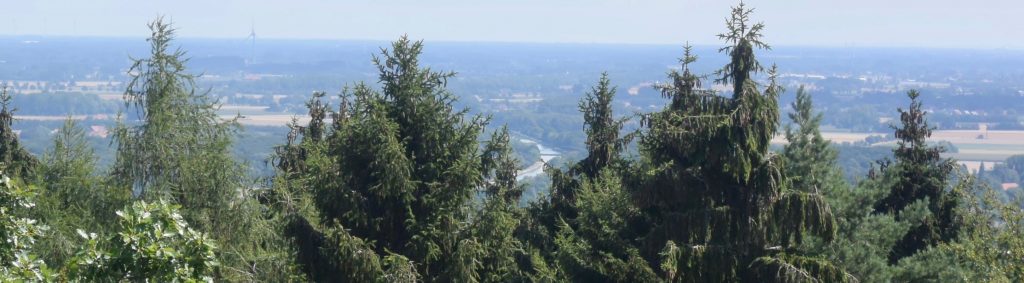 Aber der MLK ist zu sehen