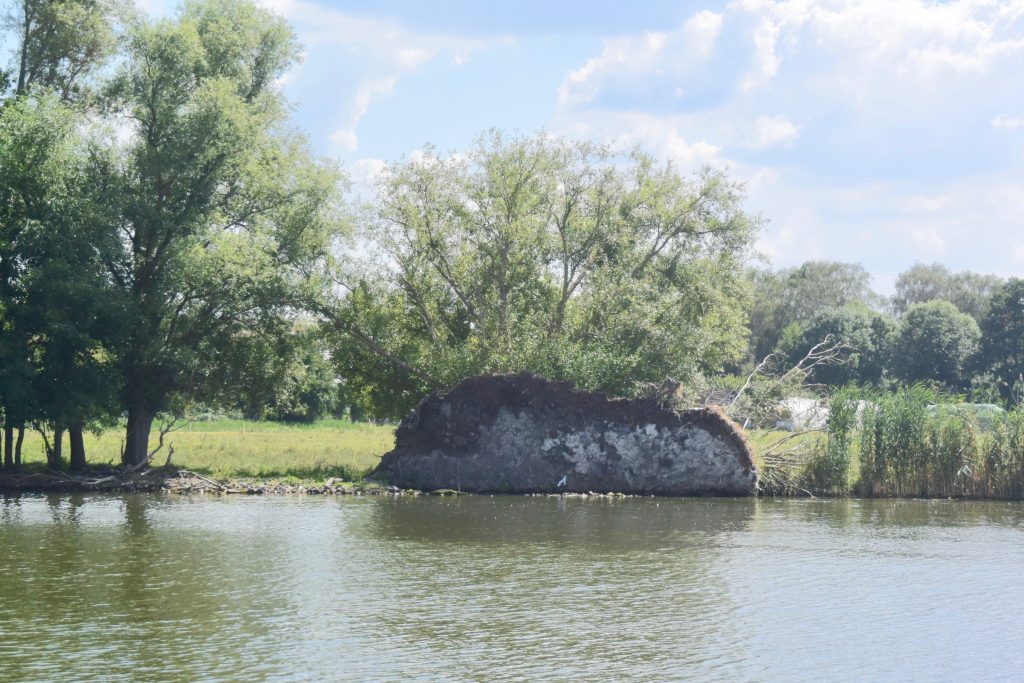 Na, den Baum hat der letzte Sturm aber kräftig umgelegt
