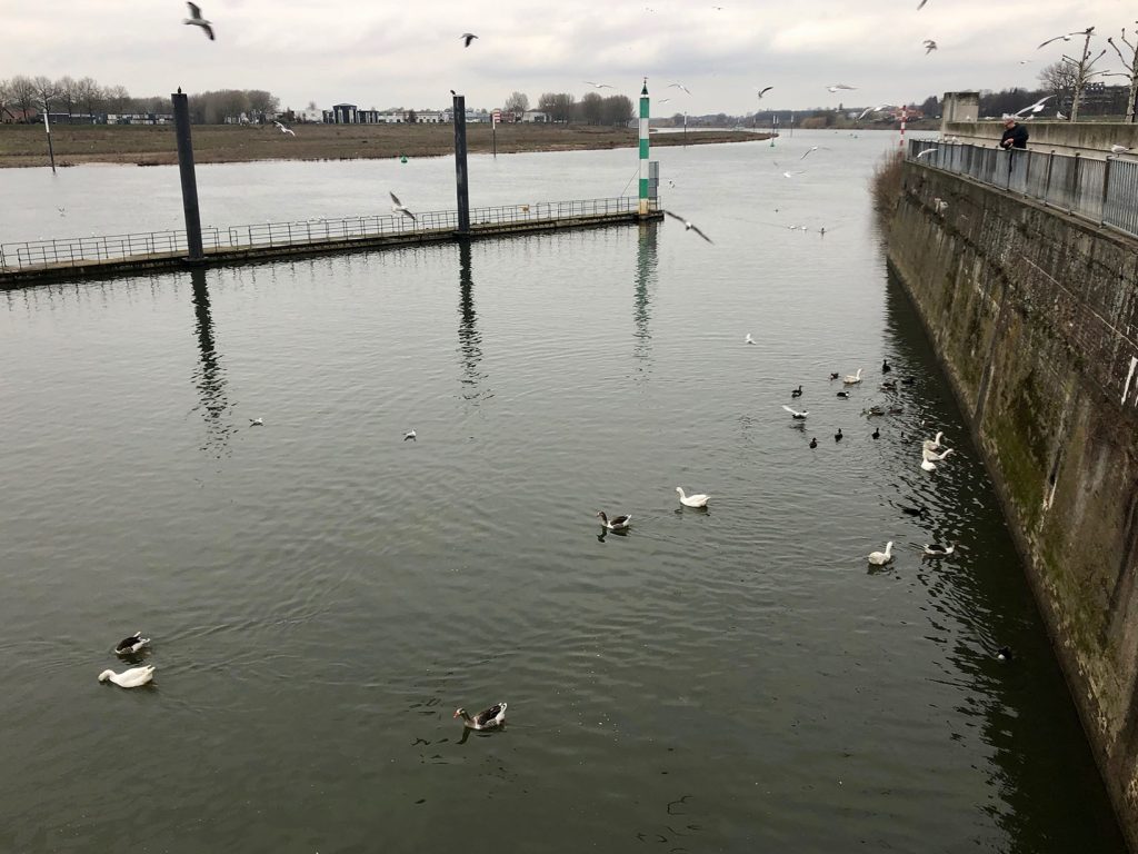 Auch auf der Maas extrem wenig Verkehr