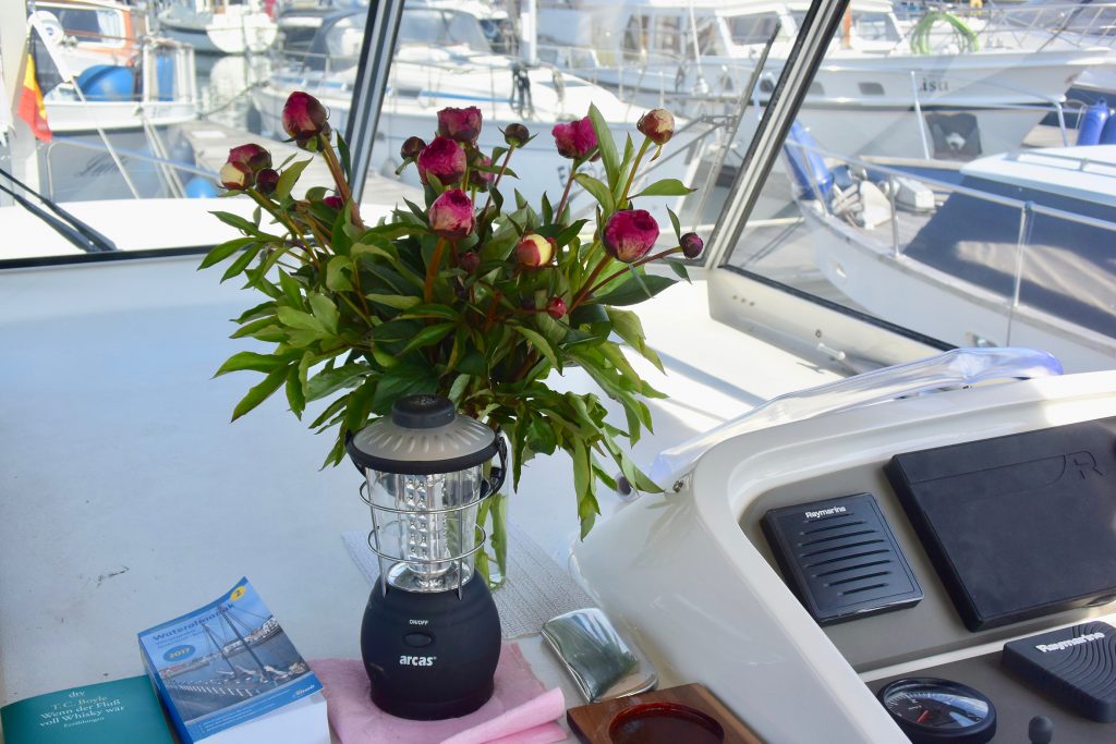 Den hat sich Monika vom Markt mitgebracht