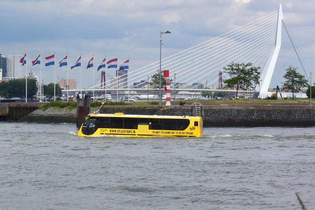 ... den wir schon mal im Wasser gesehen haben