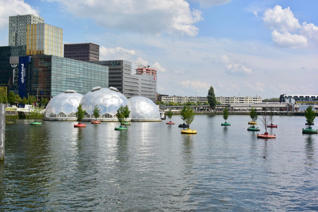 "Drijvend Paviljoen", ein schwimmender Pavillon als Veranstaltungsort im Zentrum von Rotterdam. Ein Hotspot für Kultur, Innovation, Nachhaltigkeit, Festivals und kulinarische Neuheiten mitten in der Stadt