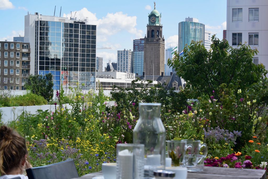 ... ins "Op Het Dak" (Auf dem Dach)