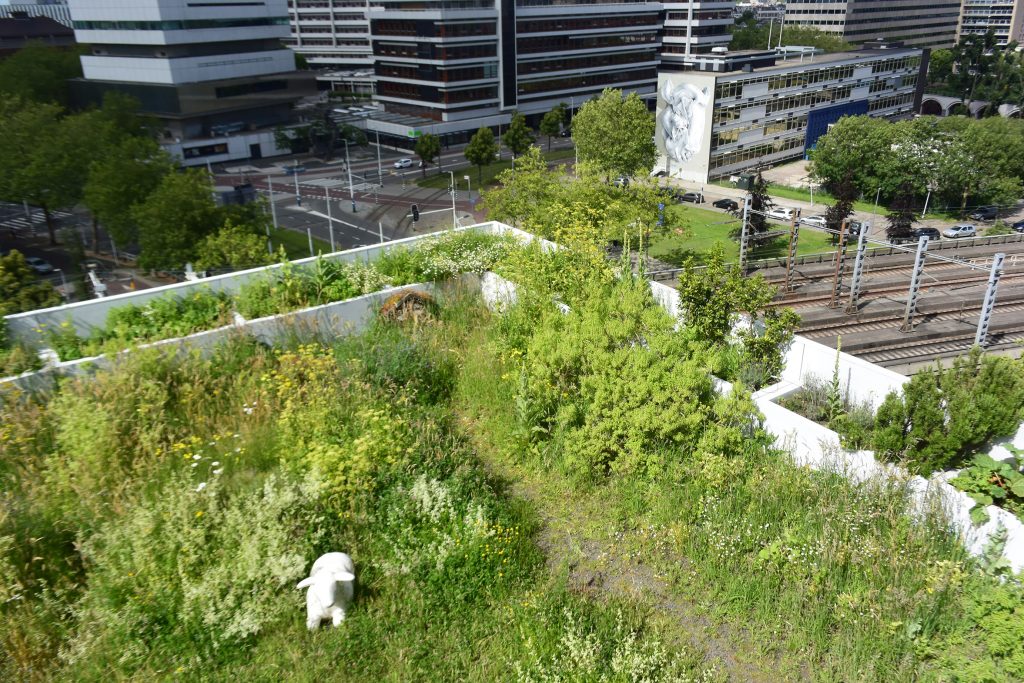 ... nur halt auf dem Dach