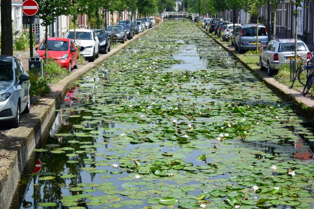 ... andere einfach nur schön