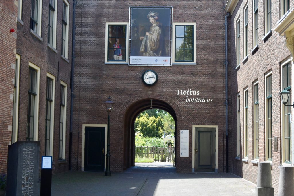 ... mit Durchgang zum an die Hochschule angeschlossenen ...