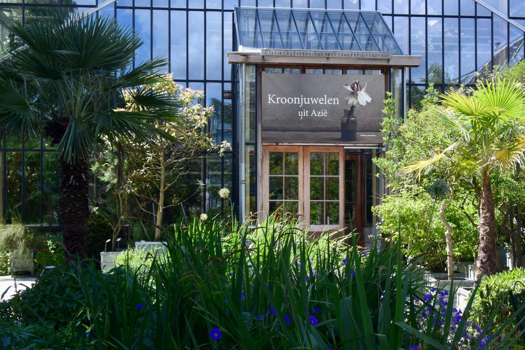 Der hortus botanicus, 1590 erbaut und in den folgenden Jahrhunderten erweitert, ist das grüne Herz von Leiden ...