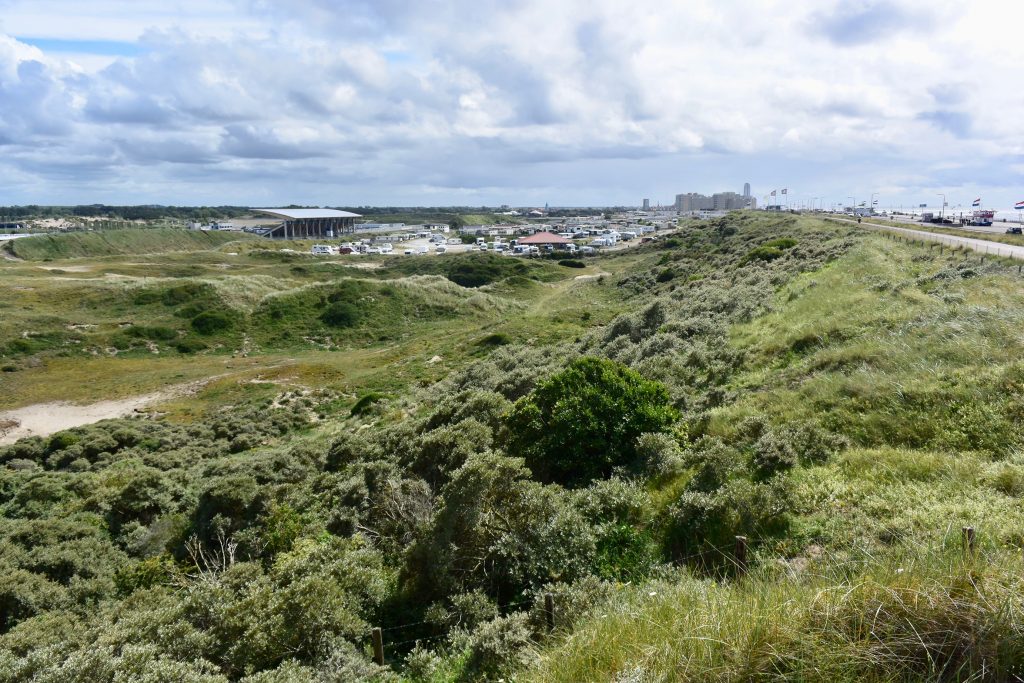 Mittendrin, die Rennstrecke. Die Formel 1 kehrt nach 35 Jahren Pause 2020 nach Zandvoort zurück